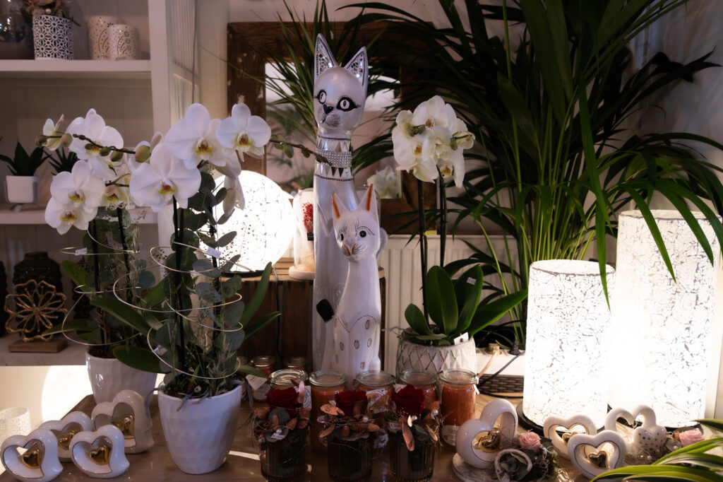 Dsc02053 verbessert rr